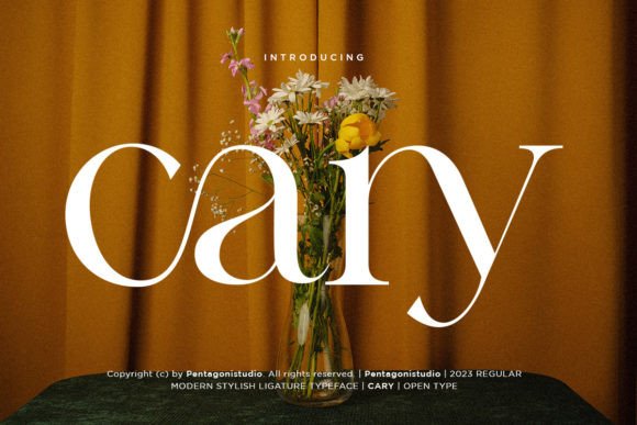 Enhance Your Campaigns with Cary, the Elegant Serif Font